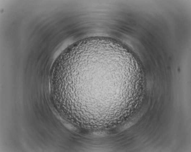 X0000064051274200601301204