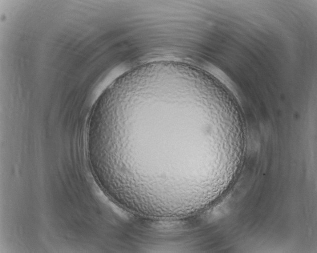 X0000064051290200601301204