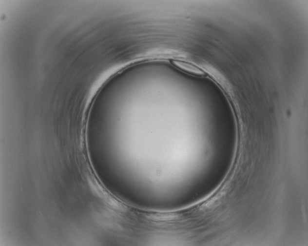 X0000064051296200601301204