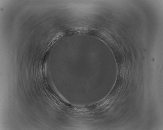 X0000064051298200601301203