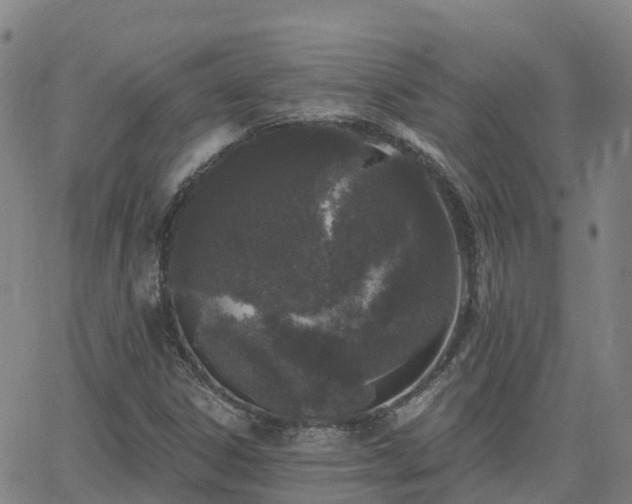 X0000064051306200601301203