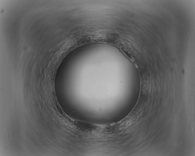 X0000064051345200601301203