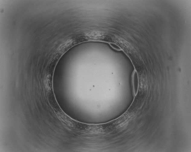 X0000064051346200601301203