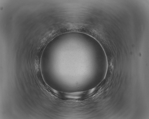 X0000064051348200601301203