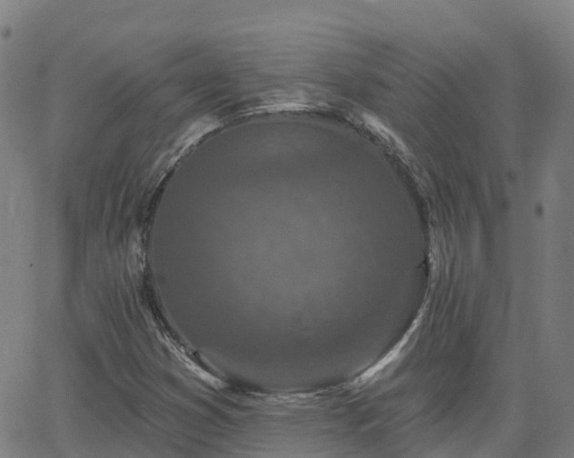 X0000064051353200601301203