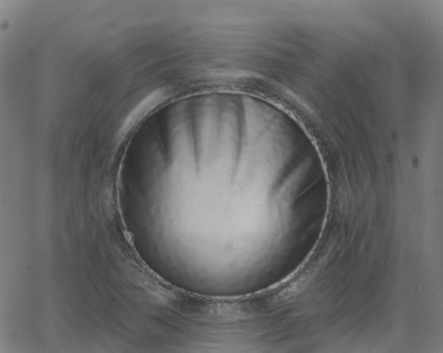 X0000064051362200601301203