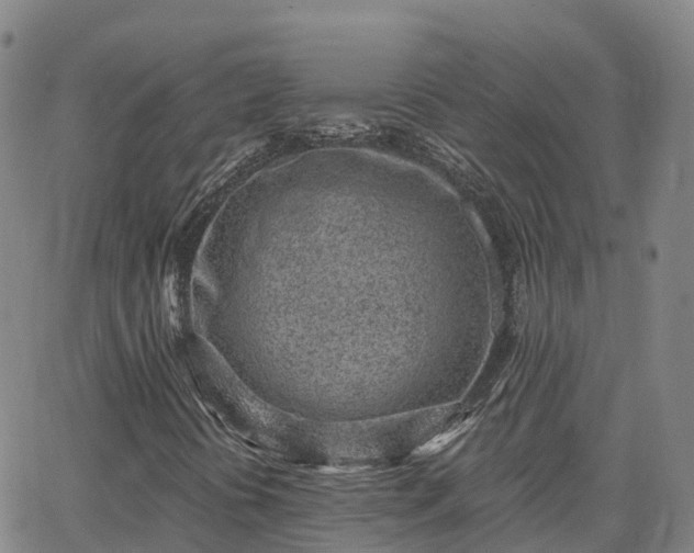 X0000064051394200601301202