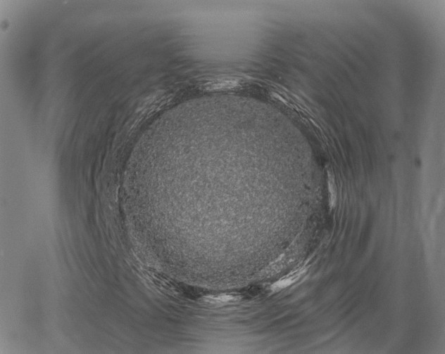 X0000064051441200601301202