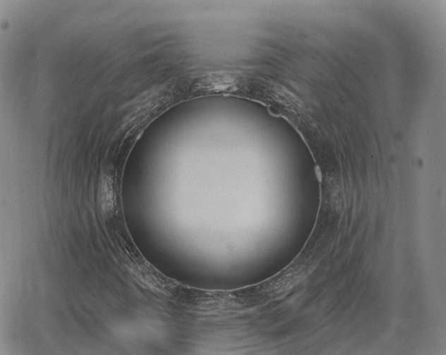 X0000064051442200601301202
