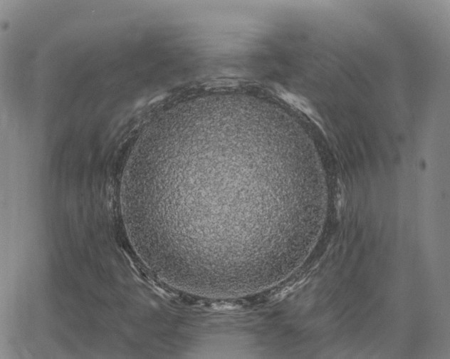 X0000064051445200601301202