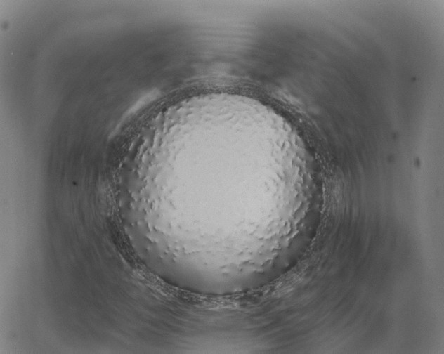 X0000064051446200601301202