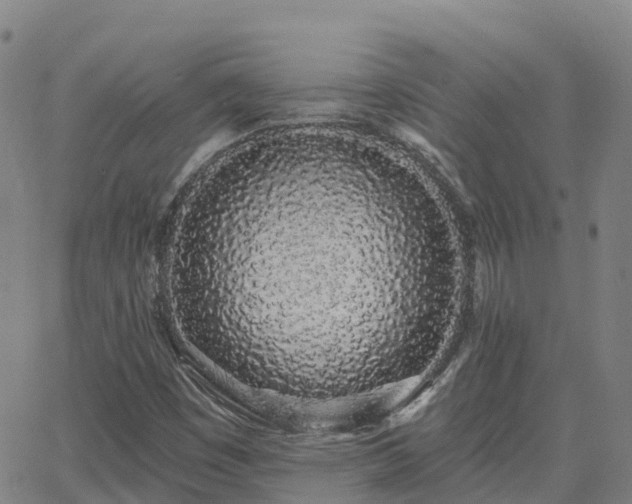 X0000064051449200601301202