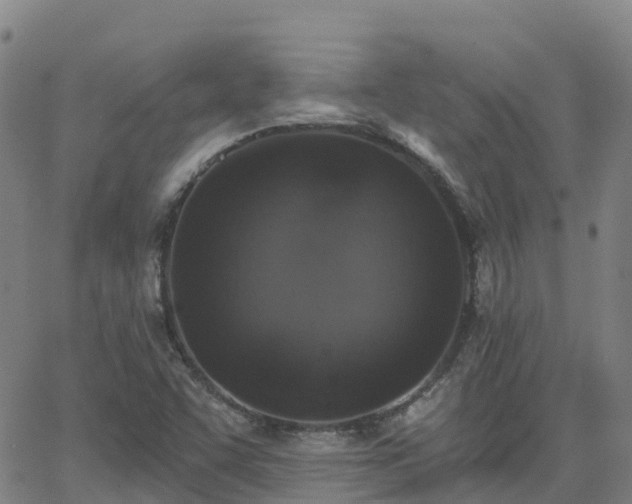 X0000064051455200601301201