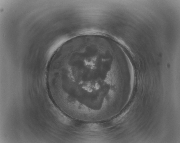 X0000064051463200601301201