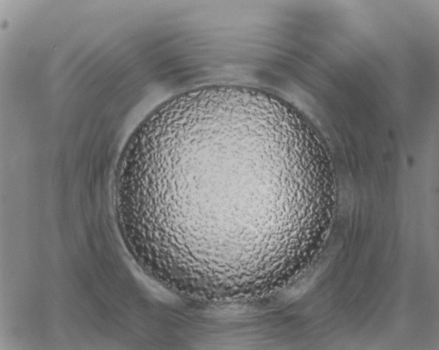 X0000064051474200601301201