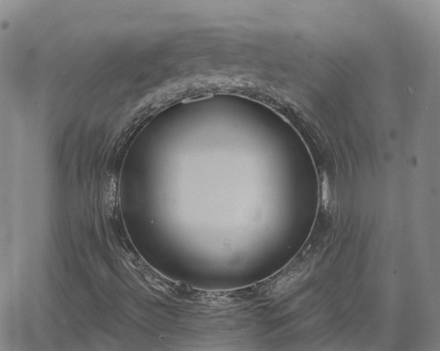 X0000064051492200601301200