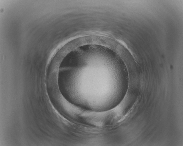 X0000064051508200601301200