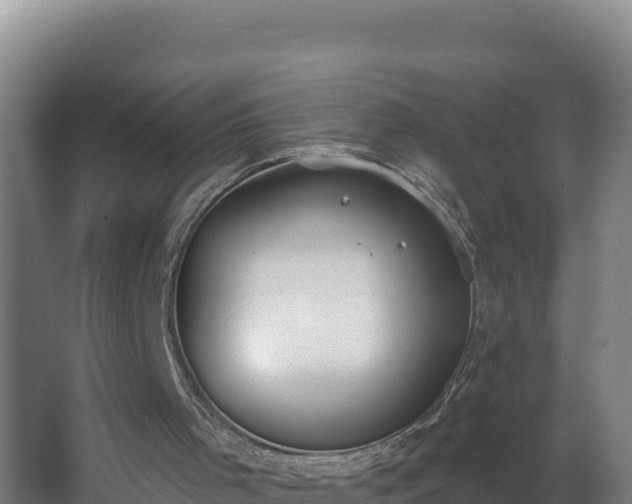 X0000064050001200602031635