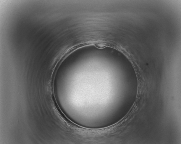 X0000064050002200602031635