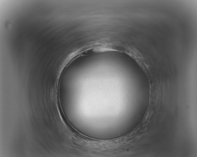 X0000064050003200602031635