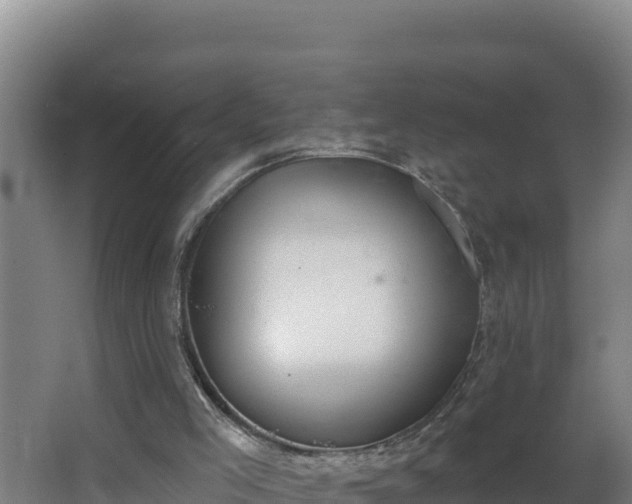 X0000064050005200602031635