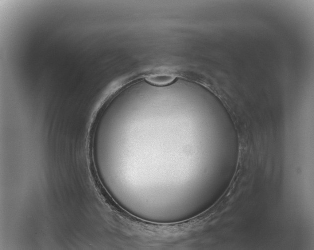 X0000064050006200602031635