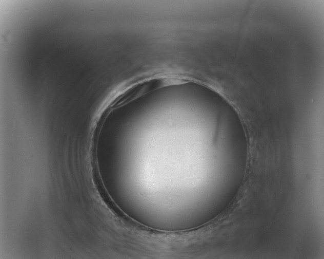 X0000064050007200602031635