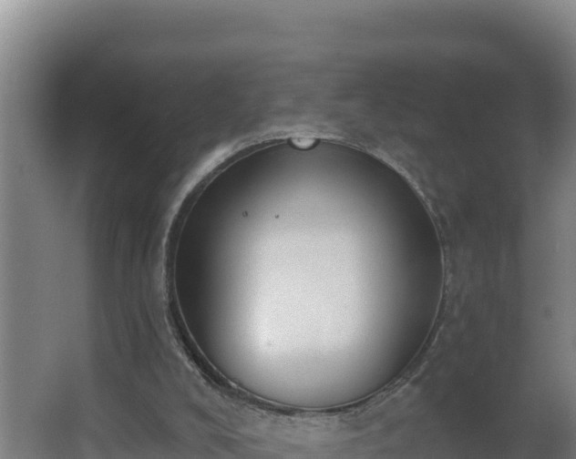 X0000064050008200602031635