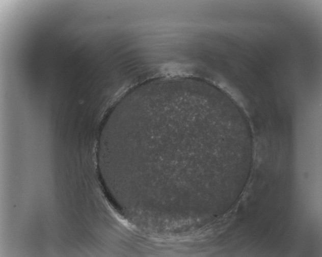 X0000064050009200602031635