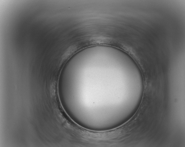 X0000064050010200602031635