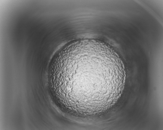 X0000064050012200602031635