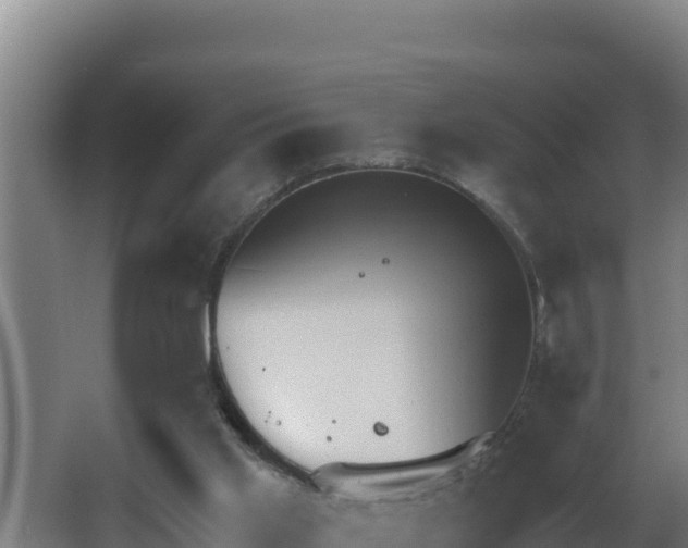 X0000064050013200602031635