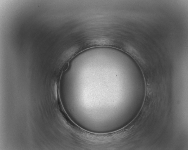 X0000064050014200602031635