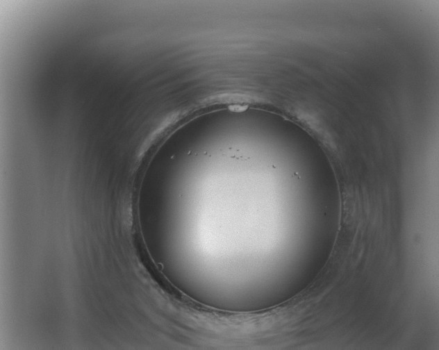 X0000064050015200602031635