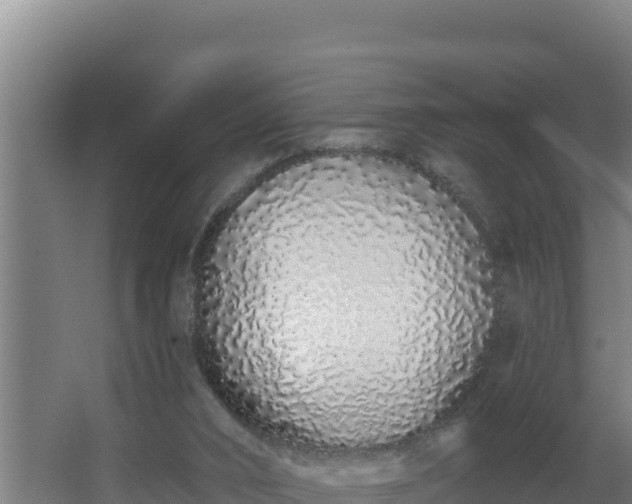 X0000064050016200602031635