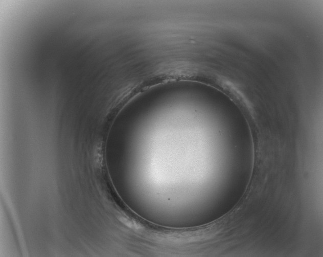 X0000064050017200602031635