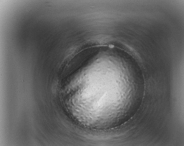 X0000064050018200602031635