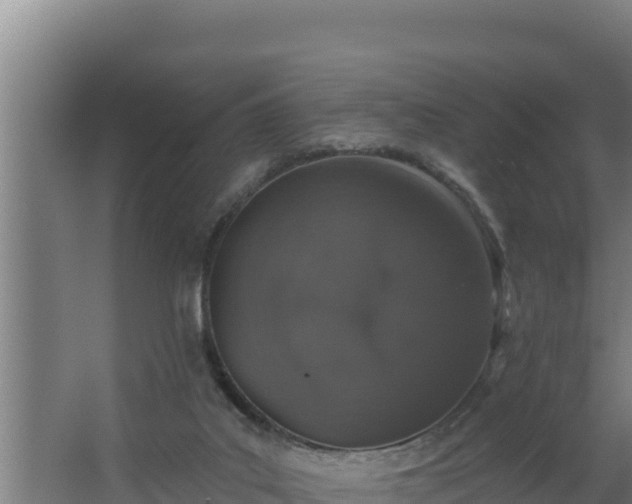 X0000064050019200602031635