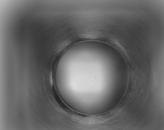 X0000064050020200602031635