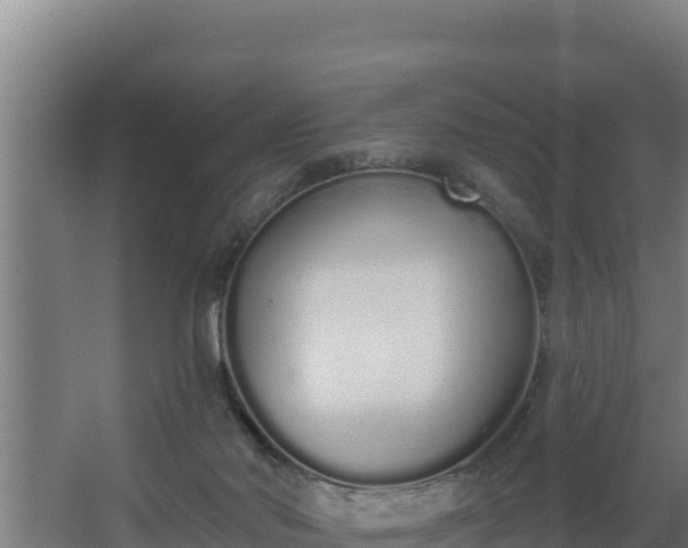 X0000064050022200602031635