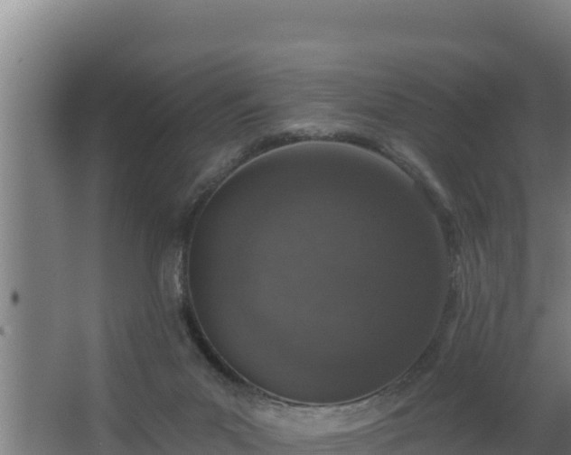 X0000064050023200602031635