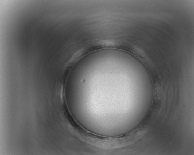 X0000064050024200602031635