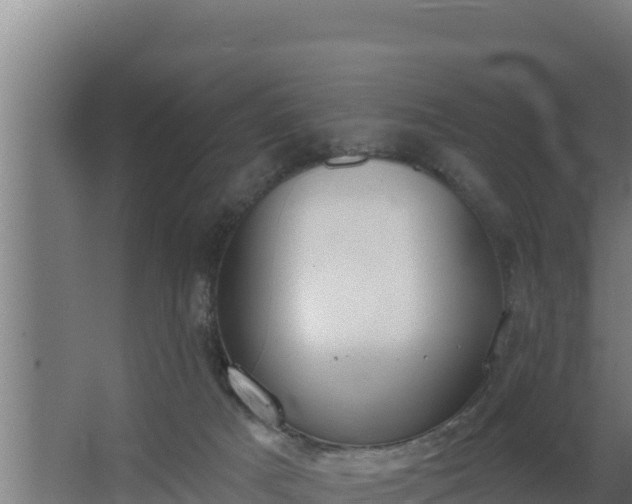 X0000064050025200602031635