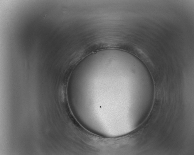 X0000064050026200602031635