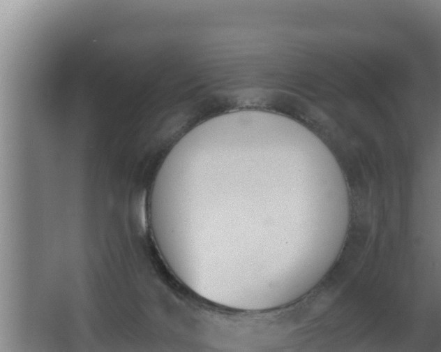 X0000064050028200602031635