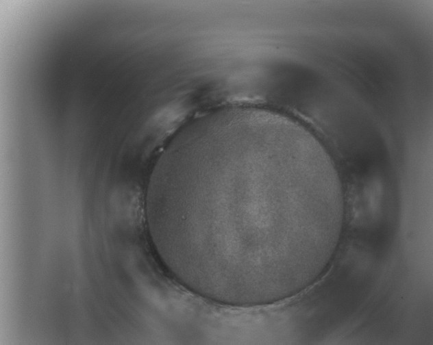 X0000064050029200602031635