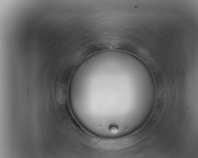 X0000064050030200602031635