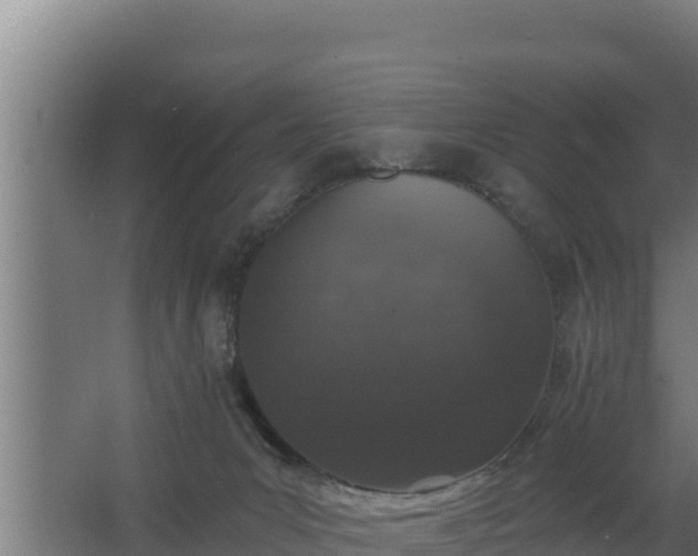 X0000064050031200602031635