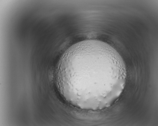 X0000064050032200602031635