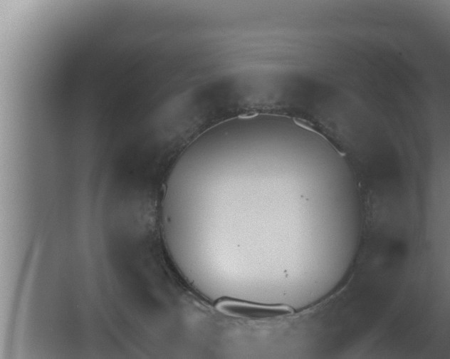 X0000064050033200602031635